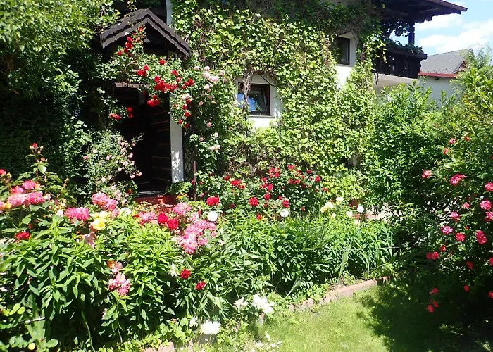 Goscinne W Centrum 3*