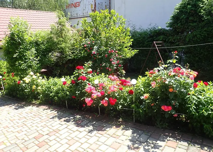 Goscinne W Centrum בית הארחה שצ'צ'ירק