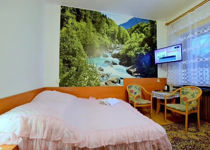 Goscinne W Centrum 3*